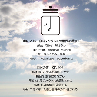 kin206.png
