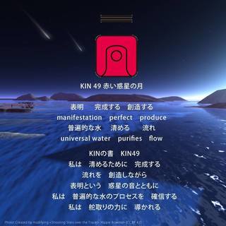 kin79.jpg